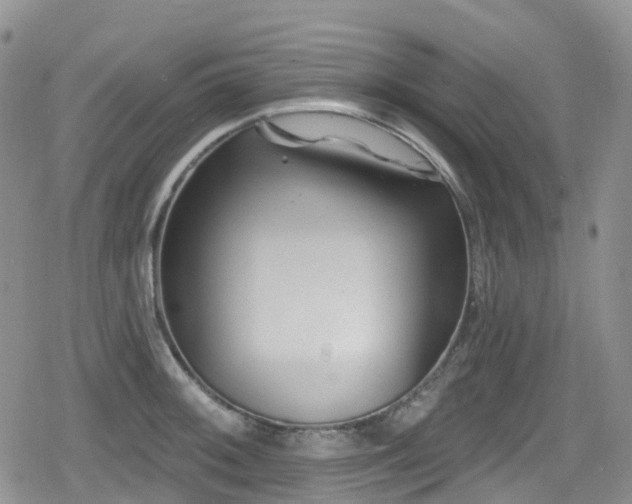 X0000080201092200612081421