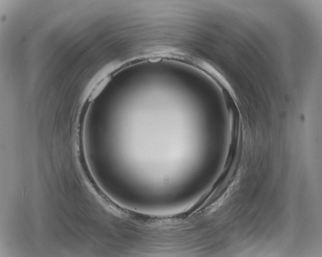 X0000080201093200612081421