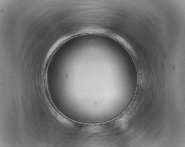 X0000080201094200612081421