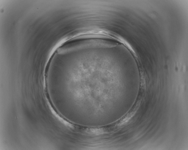 X0000080201095200612081421