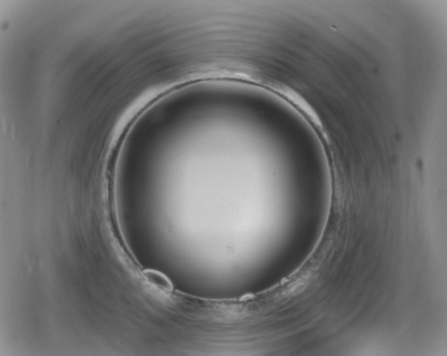 X0000080201096200612081421