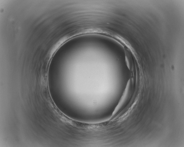 X0000080201097200612081421