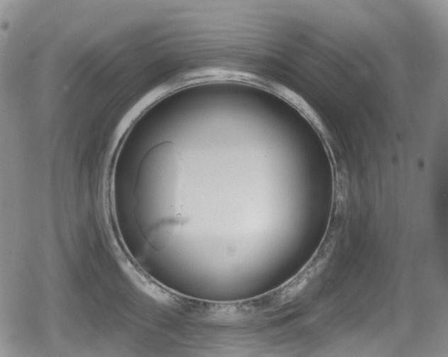 X0000080201098200612081421