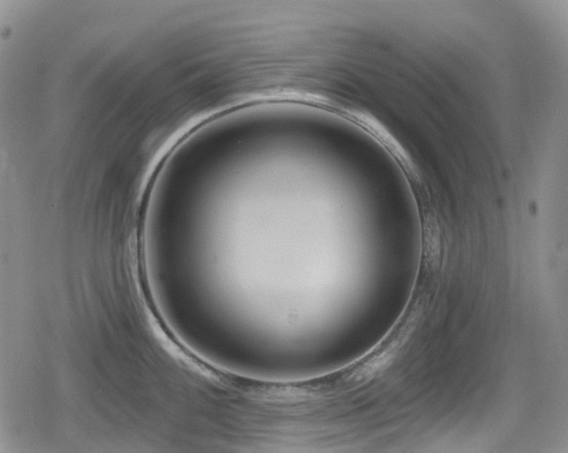 X0000080201100200612081421