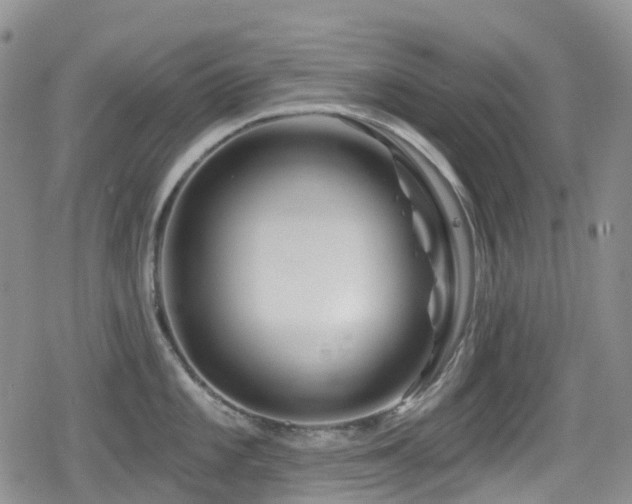 X0000080201101200612081421