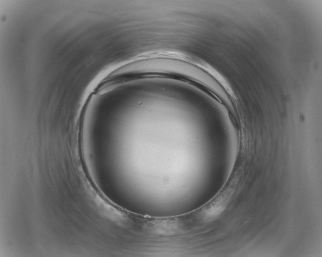 X0000080201102200612081421