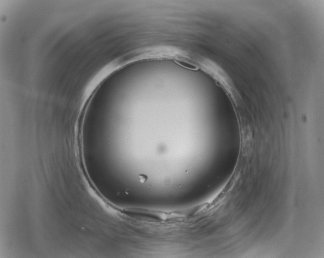 X0000080201103200612081421