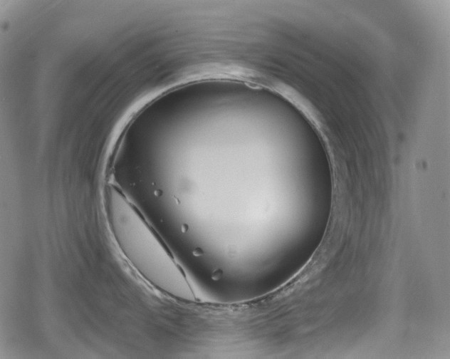 X0000080201104200612081421