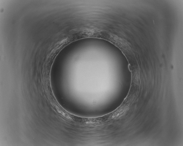 X0000080201105200612081420