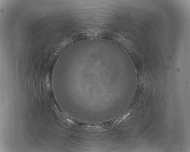 X0000080201106200612081420