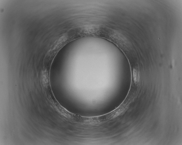 X0000080201107200612081420