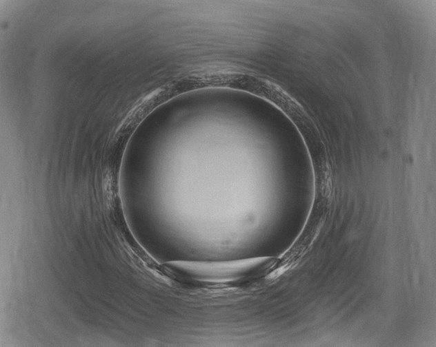 X0000080201108200612081420