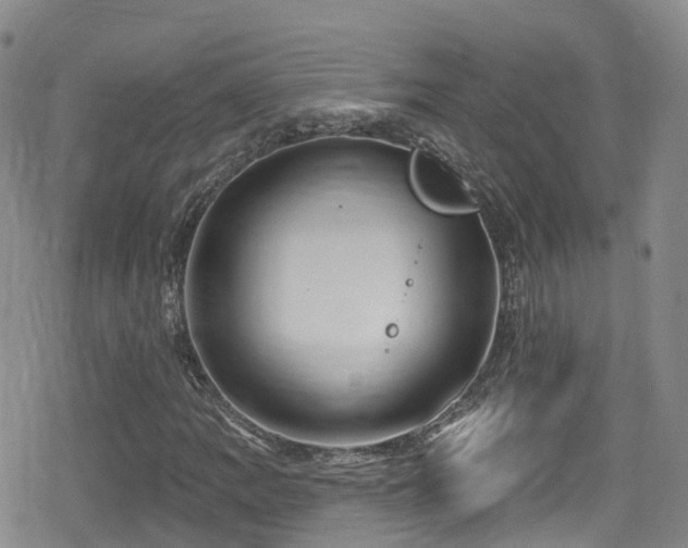 X0000080201109200612081420