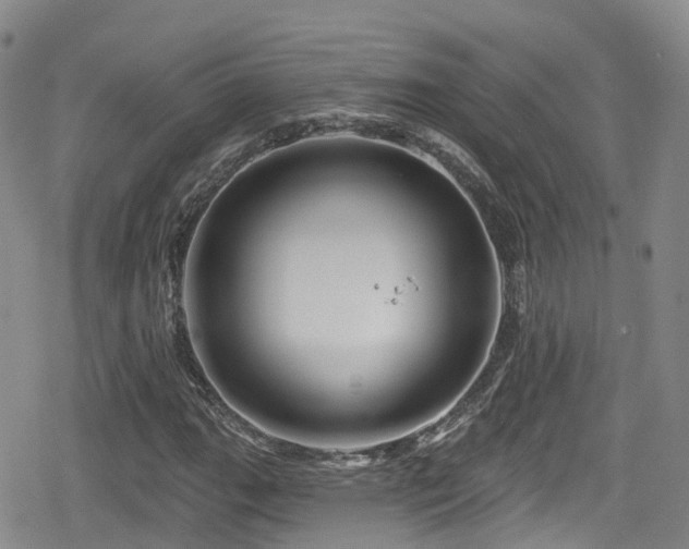 X0000080201111200612081420