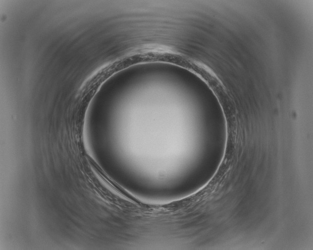 X0000080201112200612081420