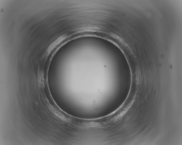 X0000080201113200612081420