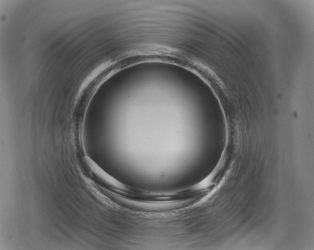 X0000080201114200612081420