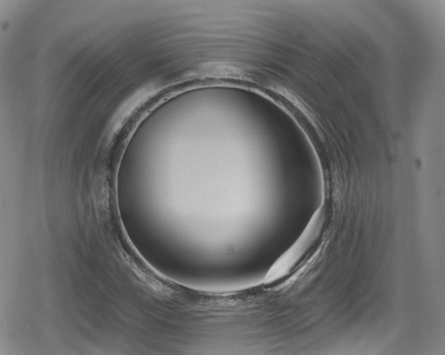 X0000080201115200612081420