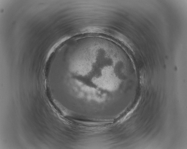 X0000080201117200612081420