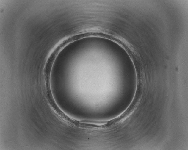 X0000080201118200612081420