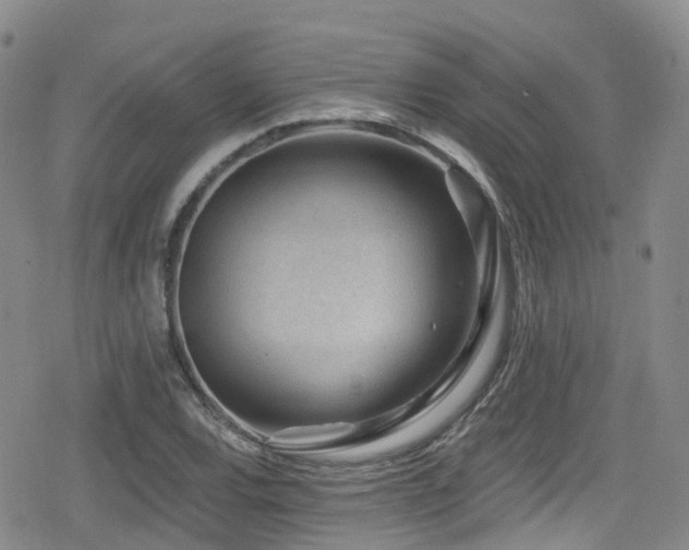 X0000080201120200612081420