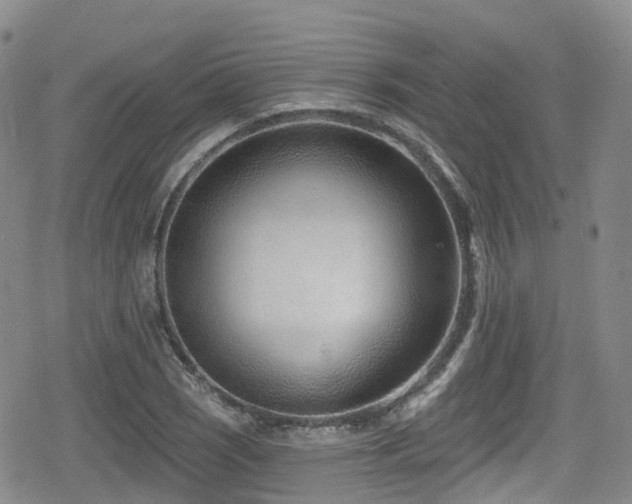 X0000080201121200612081420