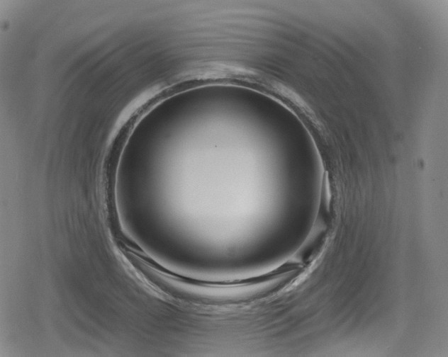 X0000080201122200612081420