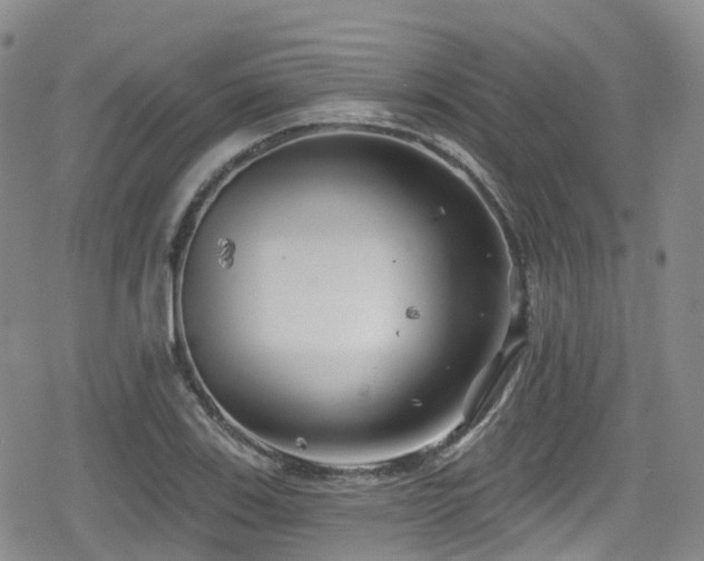 X0000080201123200612081420