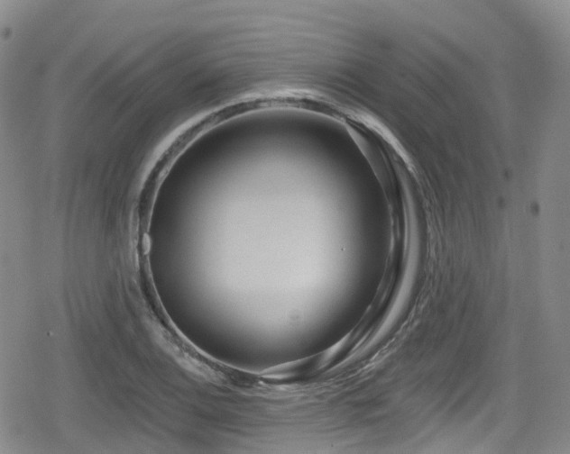 X0000080201124200612081420