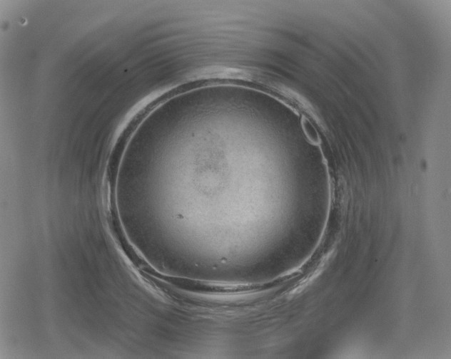 X0000080201125200612081420