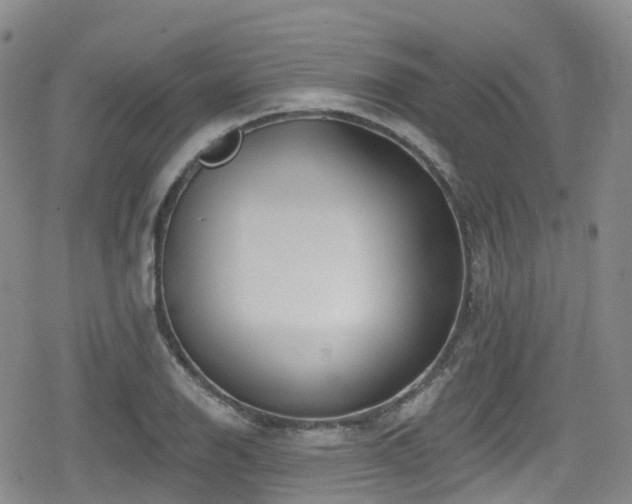 X0000080201126200612081420