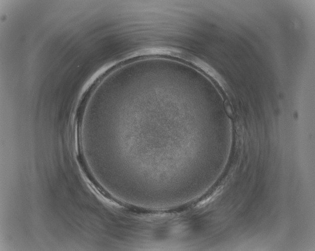 X0000080201127200612081420