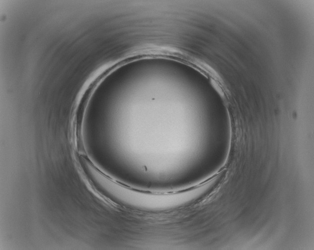 X0000080201128200612081420