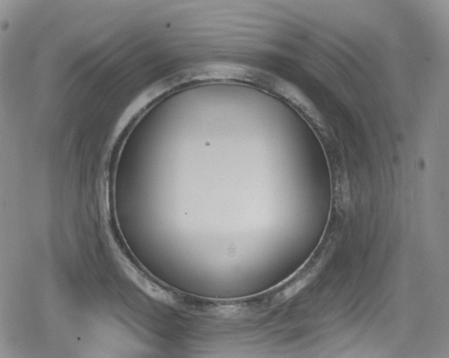 X0000080201130200612081420