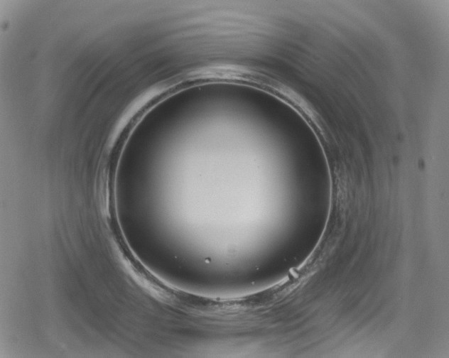 X0000080201131200612081420