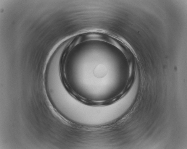 X0000080201132200612081420