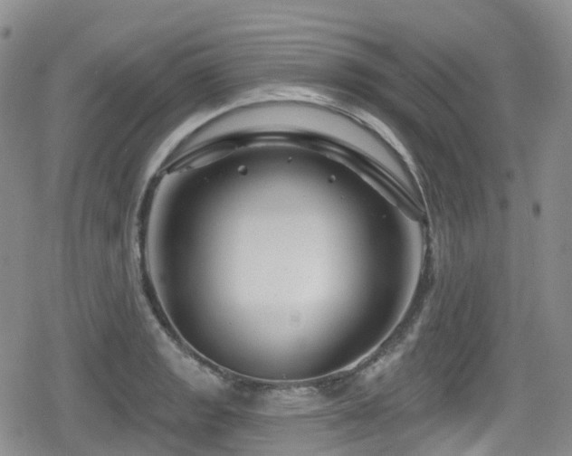 X0000080201133200612081421