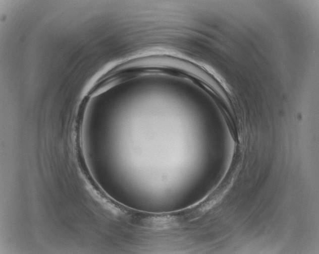 X0000080201134200612081421