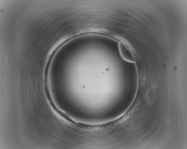 X0000080201135200612081421