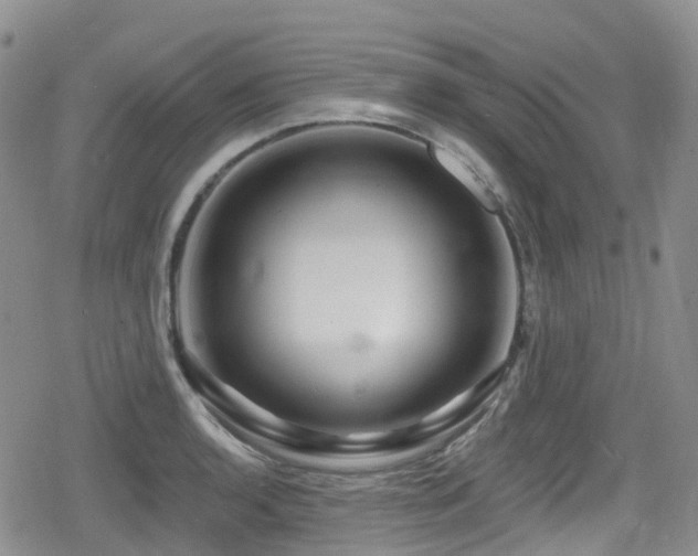 X0000080201136200612081421