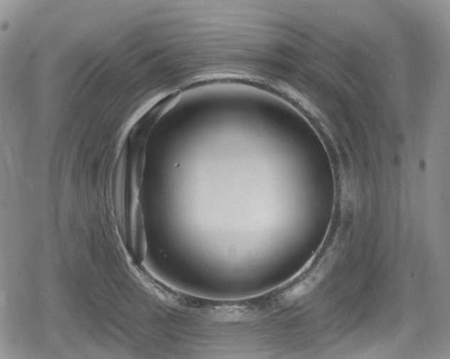 X0000080201137200612081421