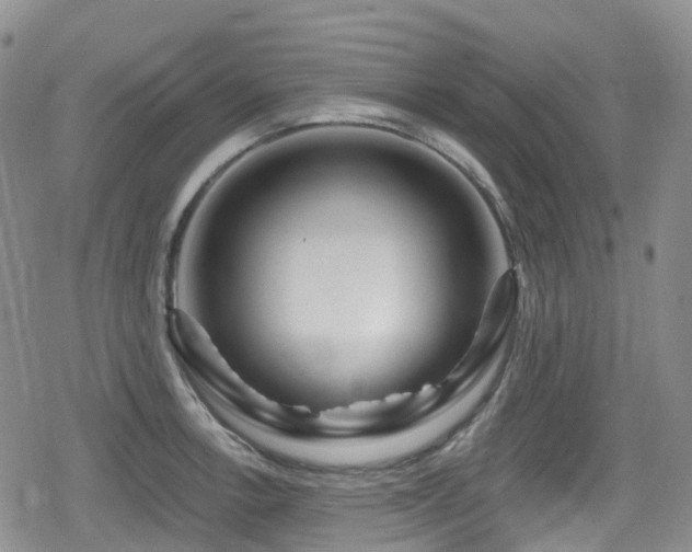 X0000080201138200612081421