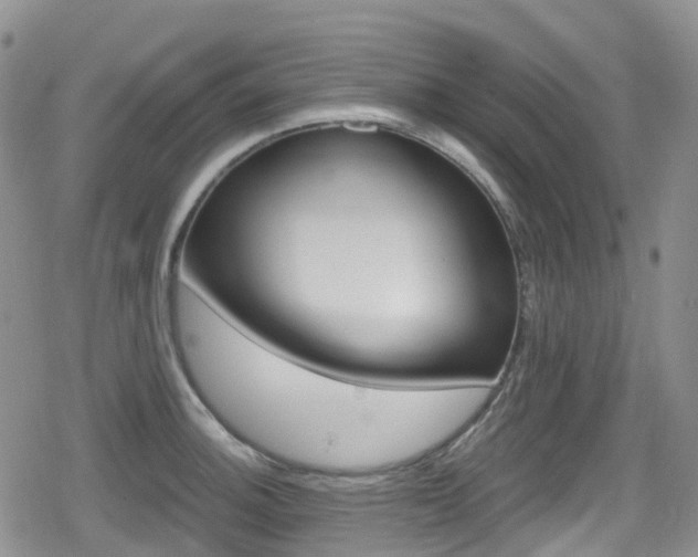 X0000080201140200612081421