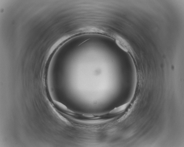 X0000080201141200612081421