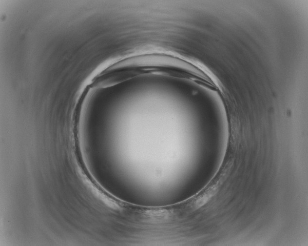 X0000080201142200612081421