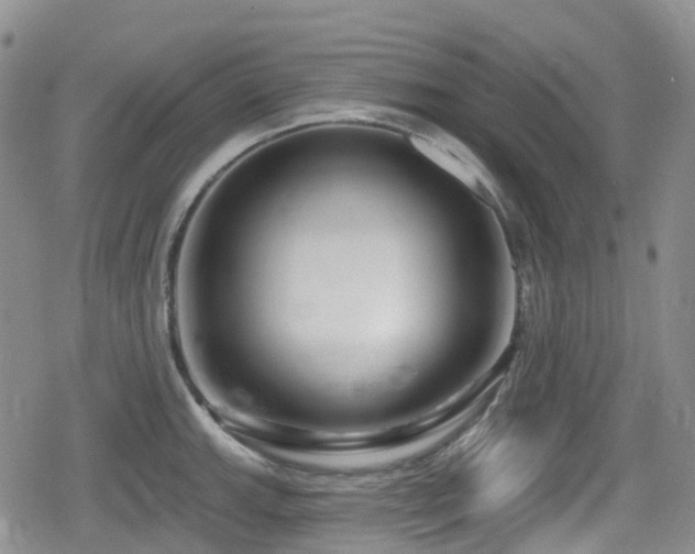 X0000080201143200612081421