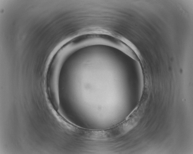 X0000080201144200612081421