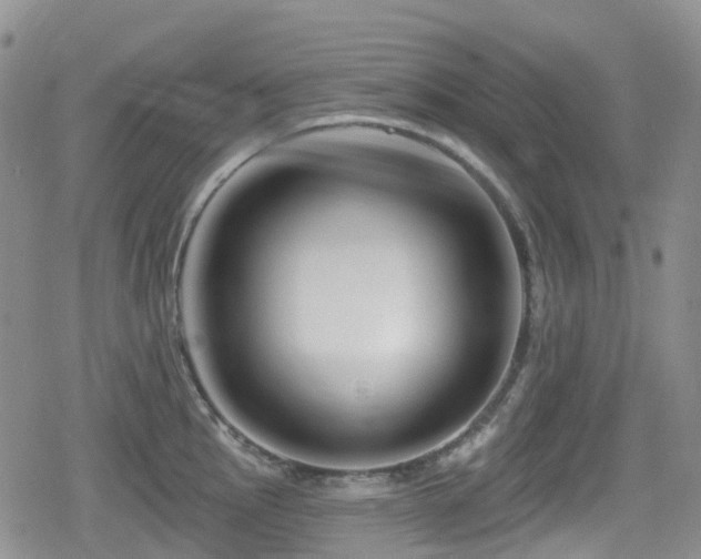 X0000080201145200612081421