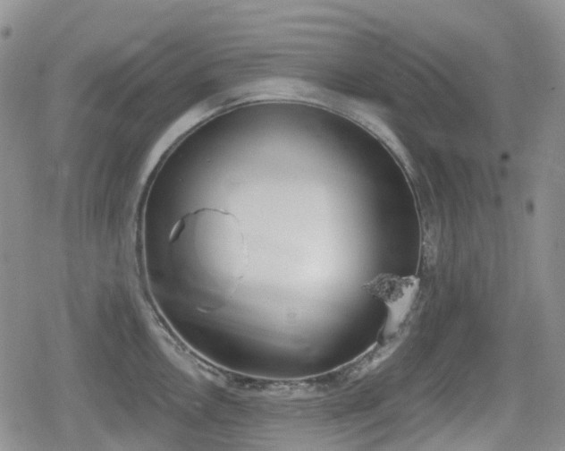 X0000080201146200612081421