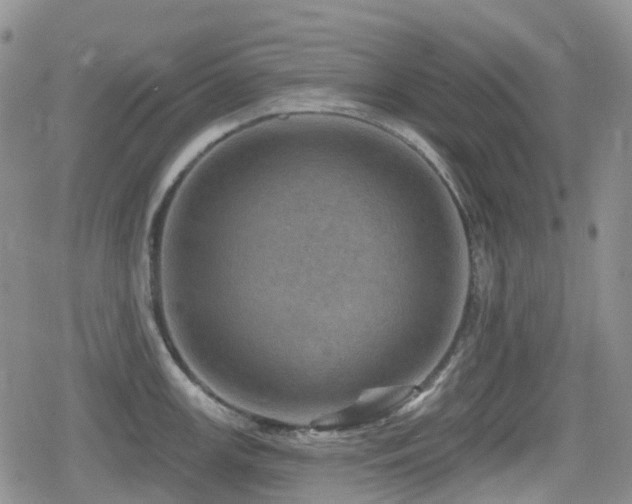 X0000080201147200612081421